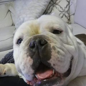 Meet your Posher, Donna